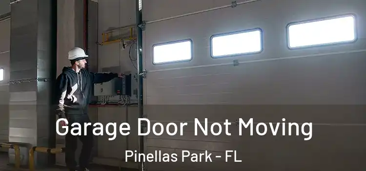  Garage Door Not Moving Pinellas Park - FL