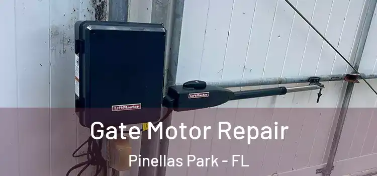 Gate Motor Repair Pinellas Park - FL