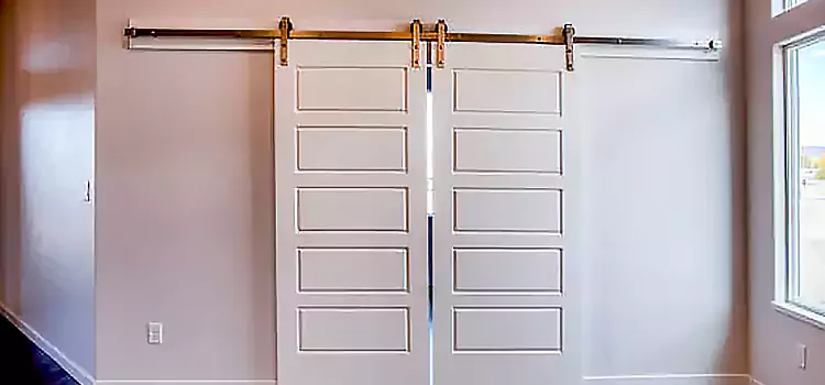 Glass Barn Door with Installation Hardware Kit Pinellas Park