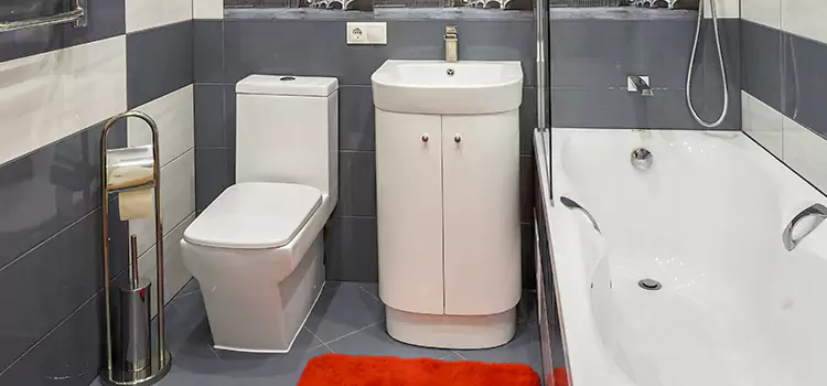 Hansgrohe Shaving Mirror Pinellas Park