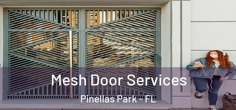 Mesh Door Services Pinellas Park - FL