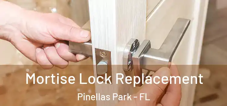 Mortise Lock Replacement Pinellas Park - FL