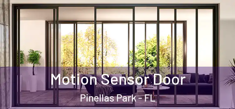 Motion Sensor Door Pinellas Park - FL