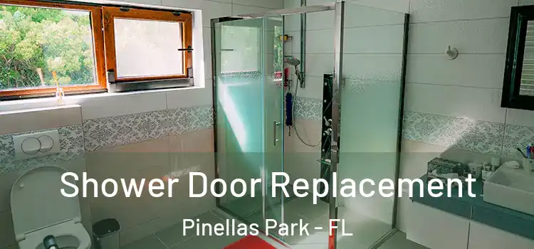 Shower Door Replacement Pinellas Park - FL